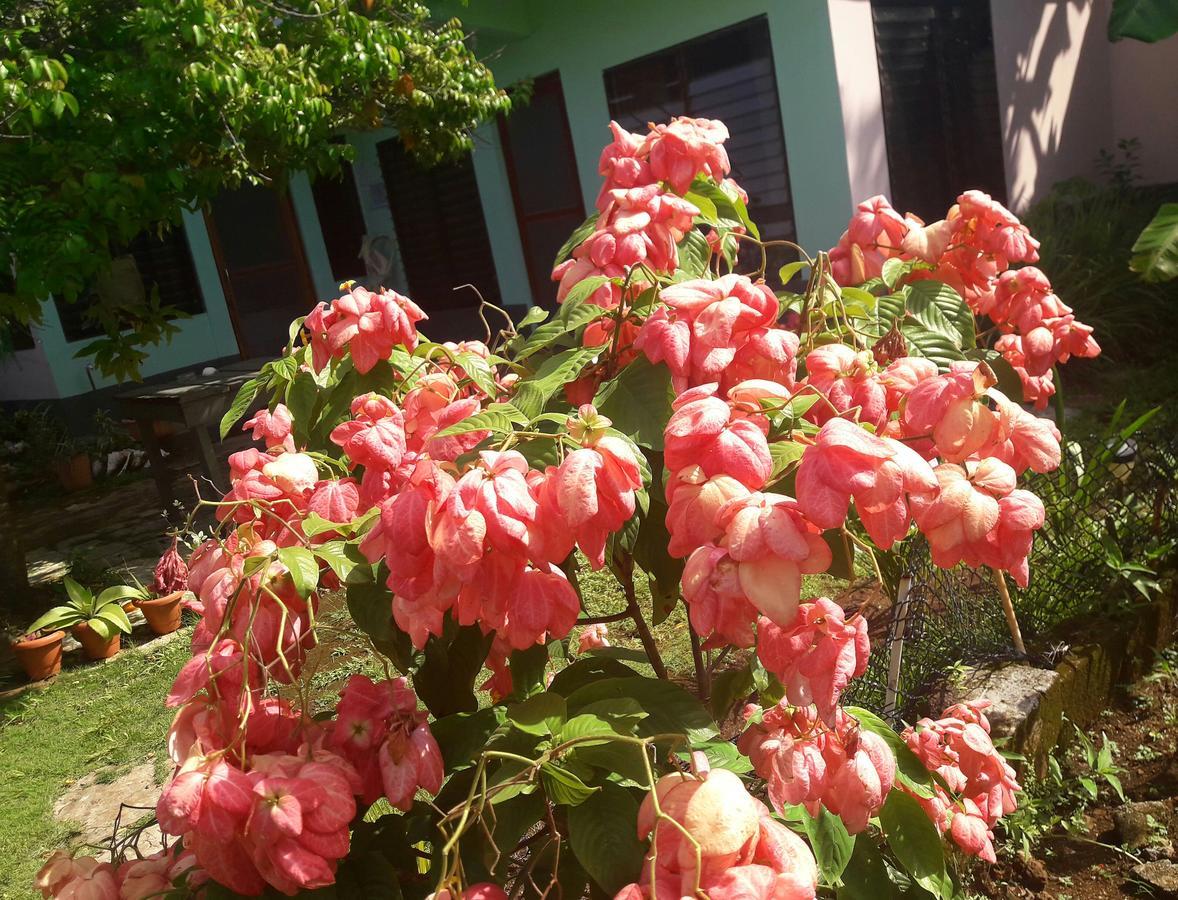 Villy'S Cottage North End 외부 사진